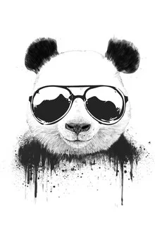 Wall art by Balazs Solti: a funny bear wearing sunglasses in graffiti style.