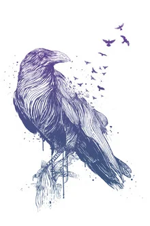 Wall art by Balazs Solti: surreal depiction of a flying bird