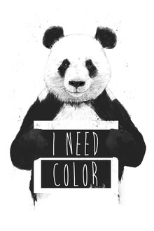 Balazs Solti, I need color (Hungary, Europe)