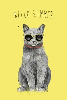Wall art by Balazs Solti: a funny cat in sunglasses enjoying summer