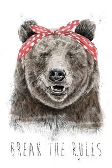 Illustration by Balazs Solti: humorous bear with a quote.