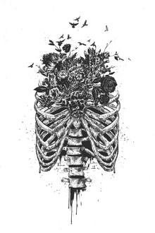 Balazs Solti, New life (Hungary, Europe)