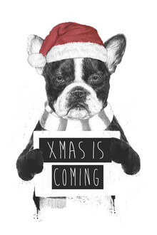 Balazs Solti, Xmas is coming (Hungary, Europe)