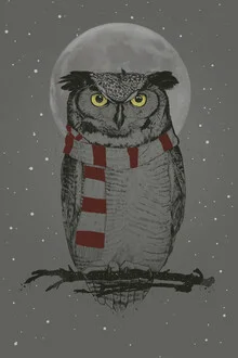 Illustration of an owl in the cold night under a moon and stars.