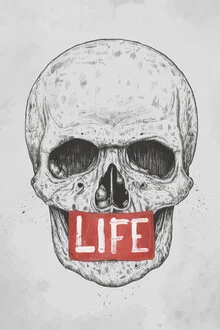 Playful illustration of a skull in vibrant colors by Balazs Solti.