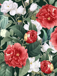 Uma Gokhale, Botanical Wonder