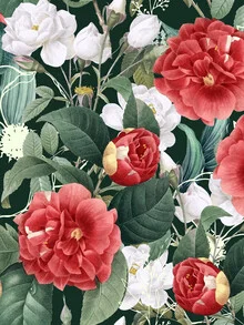 Illustration by Uma Gokhale: colorful plant patterns in a botanical style