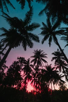 Fotokunst von Tobias Winkelmann: Sonnenuntergang mit Palmen, tropische Stimmung.