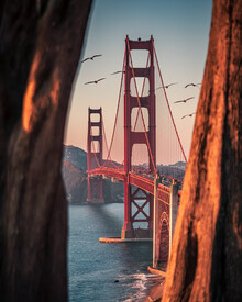 Dimitri Luft, framed bridge (United States, North America)
