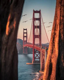 framed bridge - fotokunst von Dimitri Luft