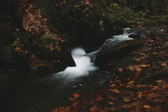 Wall art by Nadja Jacke: tranquil silver creek in Teutoborg Forest during autumn
