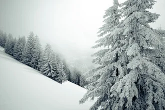 Icescape photo featuring soft white snowfields and cool tones.