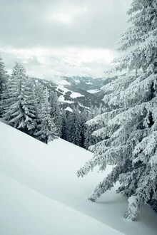 Photo art by Nicklas Walther: winter landscape with snow-covered trees and mountains