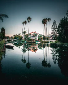 Photo art by Dimitri Luft: calm Venice canals with palm trees and water reflections