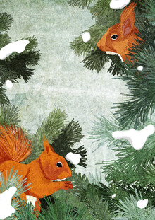 Katherine Blower, Red Squirrels