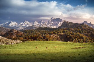 Jean Claude Castor, Asturias Picos de Europa Massif with pasture - Spain, Europe)