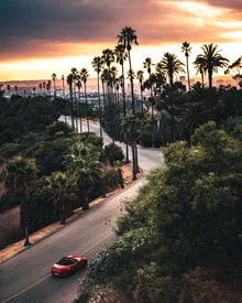 Photo art by Dimitri Luft: street view with palm trees and sunset in California