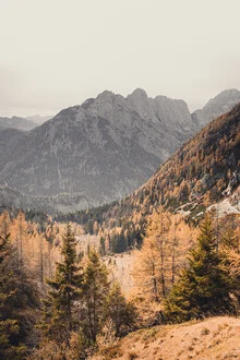 Fotokunst von Eva Stadler: Herbstlandschaft in den Julischen Alpen mit Lärchen.