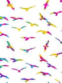 Illustration by Uma Gokhale: colorful birds flying freely across a clear sky