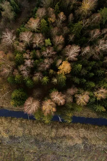 Photo art by Giedra Bartas: winter bouquet viewed from above, capturing nature's mood