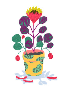 Ezra W. Smith, Plant Pet - Poland, Europe)