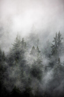 Mareike Böhmer, Foggy Morning 1 - Österreich, Europa)