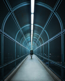 Dimitri Luft, tunnel view (United States, North America)