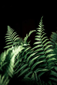 Mareike Böhmer, Fern 2
