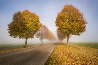 Photo art by Nicklas Walther: endless road surrounded by trees in fog