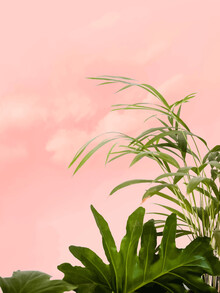 Uma Gokhale, Minimal Botanical