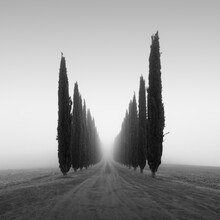 Ronny Behnert, Poggio Covili | Toskana - Italy, Europe)
