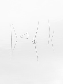Holger Nimtz, Minimalist Nature - Deutschland, Europa)