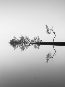 Holger Nimtz, Reflections on Water