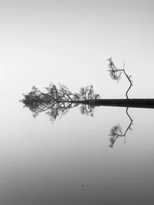 Reflections on Water - Fineart photography by Holger Nimtz