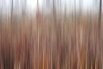 Gentle autumn landscape with brown grass and a calm atmosphere.
