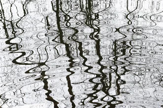 Wasserspiegelung mit sanften Wellen und einem Ast im Vordergrund, ruhige Stimmung.