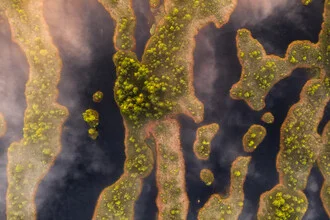 Photo art by Christoph Schaarschmidt: tranquil landscape shot in Kemeri, Latvia.