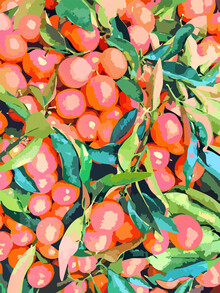 Uma Gokhale, Fruit Garden