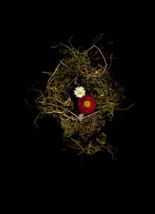 Photo by Ramona Reimann: delicate flowers in a bird's nest, warm light, loving atmosphere
