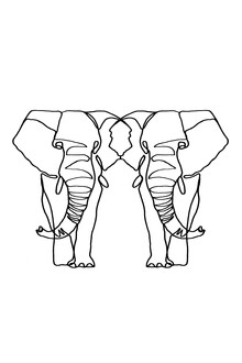 Julia Hariri, Elephant Lines - Deutschland, Europa)
