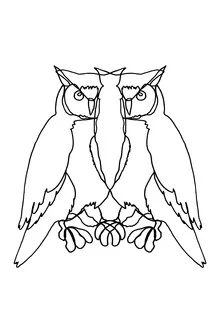 Illustration einer Eule in minimalistischer Linienführung von Julia Hariri.