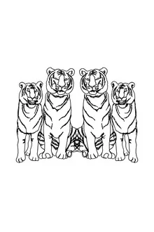 Illustration by Julia Hariri: minimalist tiger drawing in black