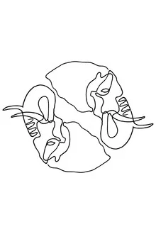 Elephant Lines 2 - fotokunst von Julia Hariri