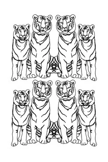 Illustration by Julia Hariri: abstract line drawing of a tiger