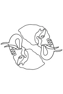 Illustration by Julia Hariri: abstract line drawing of an elephant