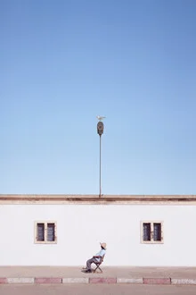Fotokunst von Rupert Höller: Möwe entspannt auf dem Gehsteig bei strahlendem Sonnenschein