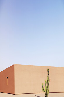Rupert Höller, Cactus House - Morocco, Africa)