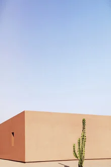 Photo of a house with cacti in the shade, warm summer light in Morocco