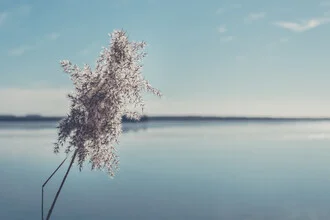 Beautiful lake in winter with snowy shores and a blue sky.