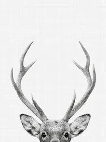 Illustration eines Rehs im Wald, sanfte Farben und freundliche Stimmung.